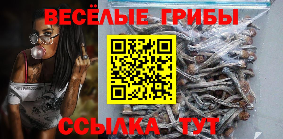Галлюциногенные грибы мухоморы  Вход с VPN  Галлюциногенные грибы прущие грибы  Дивногорск 