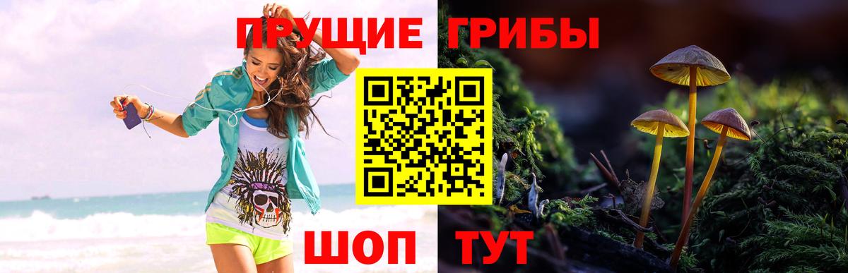 Псилоцибиновые грибы прущие грибы Дивногорск